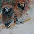 Two Hoots