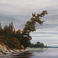 Ptarmigan Bay