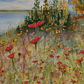 Wendy's Wildflowers